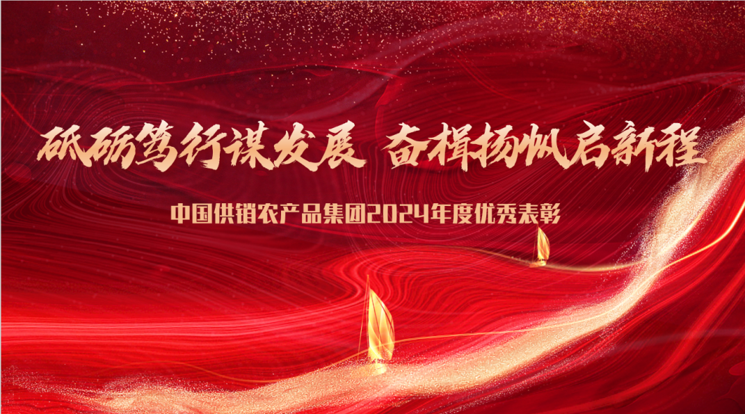 奮楫笃行 共續榮光 | 中國供銷農産品集團2024年度先進集體