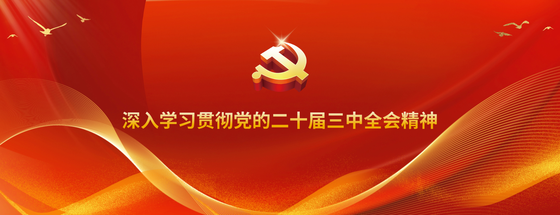 全面貫徹落實黨的二十屆三中全會精神  堅定不移推進經濟社會高質量發展